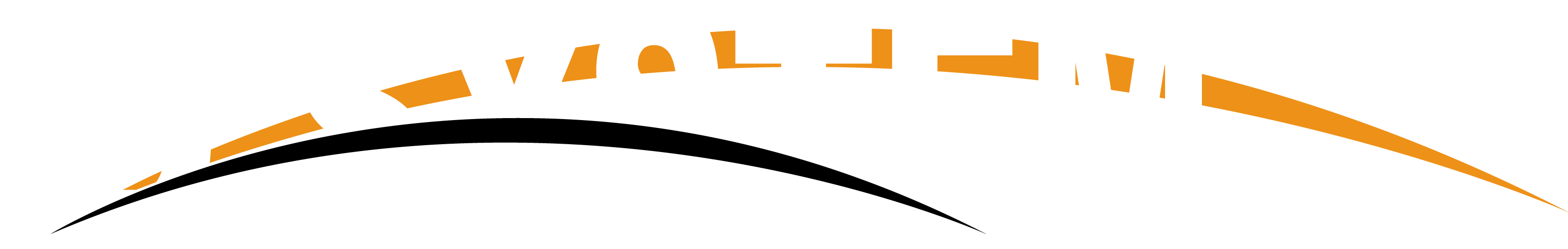 ID SYSTEM